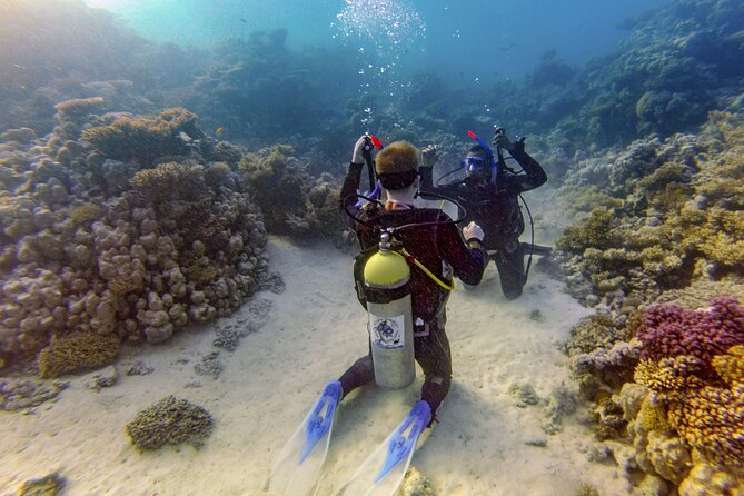 Red Sea Diving Trip from Hurghada: Beginner to Advanced Divers - The in-between break: buffet lunch on board and why it matters