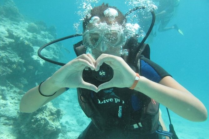 Red Sea Diving Trip from Hurghada: Beginner to Advanced Divers - Two open-sea reef visits: how the trip handles beginners and certified participants