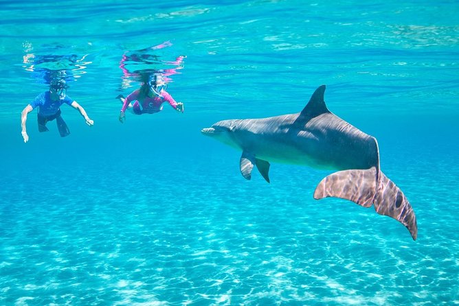 ROYAL Dolphin House & Water Sports Snorkeling Sea Trip - Hurghada - Quick hits before you book