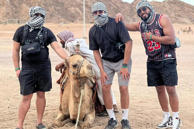 Safari 5 in 1 Quads, Camels, Show, Dinner & Star Gazing in Sharm El Sheikh - Quad biking reality check: what to expect if you want dunes