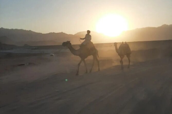 Safari 5 in 1 Quads Camels Star Gazing in Sharm El Sheikh - Stargazing Through a High-Powered Telescope: How to Get Real Value
