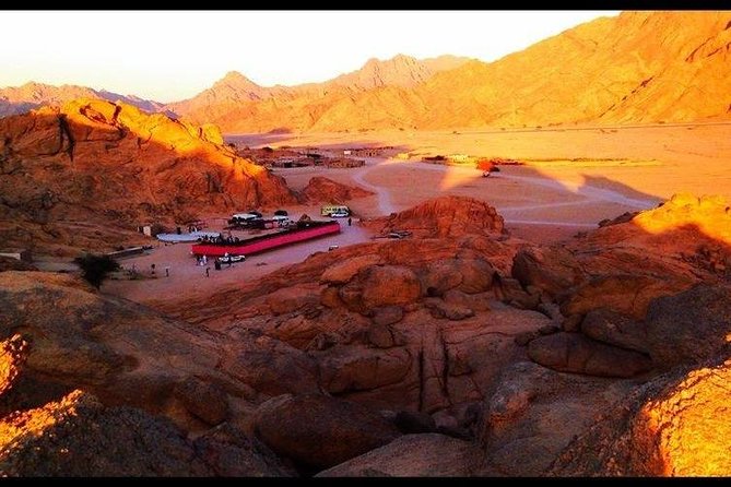 Safari quad, jeep, camel ride, show and dinner Hurghada - Camel ride, Bedouin dinner, and the nightly show program