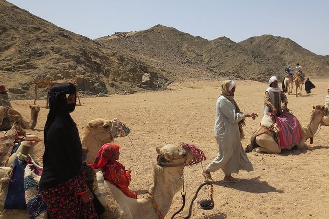 Safari quad, jeep, camel ride, show and dinner Hurghada - Quad vs buggy: choose the experience, not the name