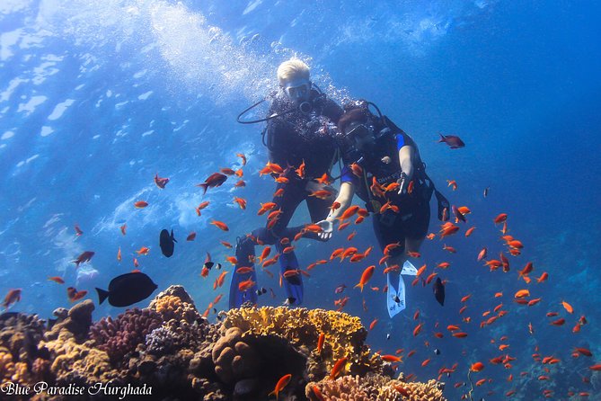 Safe Try dive-Personal instructor, 1:1 experience, Top boat - Morning plan in plain steps: pickup, gear try-on, and max 5 meters