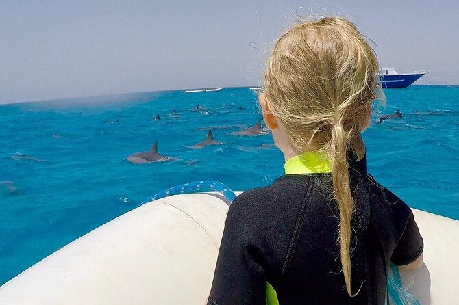 Sataya Dolphin House Snorkel Trip - Marsa Alam - Timing, pickup, and the 12-hour reality check