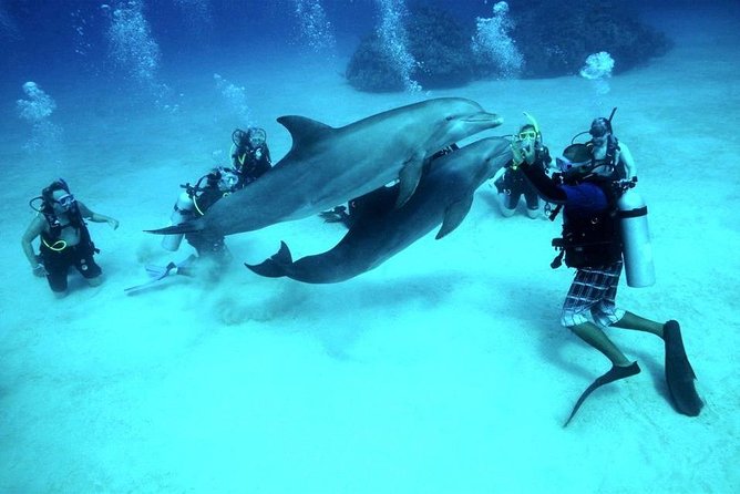 Scuba Diving Full Day Boat Trip for beginners With Lunch & Transfer - Hurghada - Boat comfort, buffet lunch, and why the surface time still matters