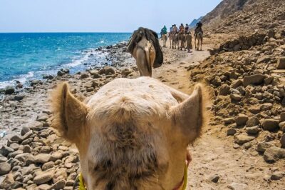 Colored Canyon Jeep Tour with Blue Hole & Dahab