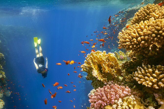 Sharm El Sheikh: Colored Canyon Jeep Tour with Blue Hole & Dahab - Dahab bazaar stop: shopping for silver, perfumes, and clothes without getting lost