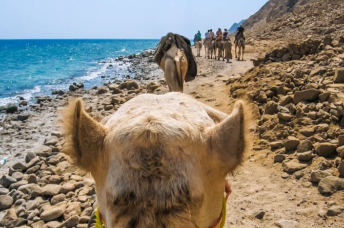 Sharm El Sheikh: Colored Canyon Jeep Tour with Blue Hole & Dahab - How the 8-hour schedule usually feels in real life