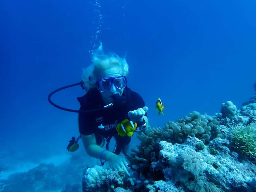Sharm El Sheikh: Day sail to White island and Ras Mohamed - Key things I’d circle before you book