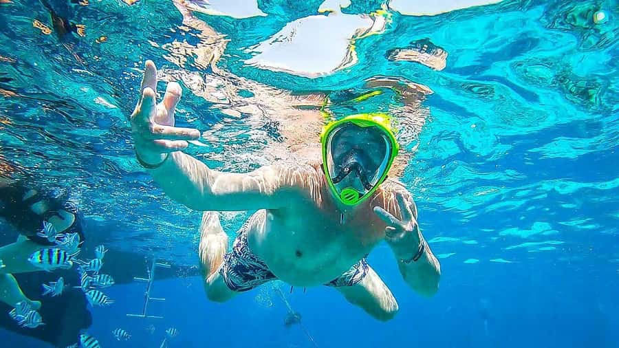 Sharm El Sheikh: Day sail to White island and Ras Mohamed - Ras Mohamed National Park: the “main reef” payoff