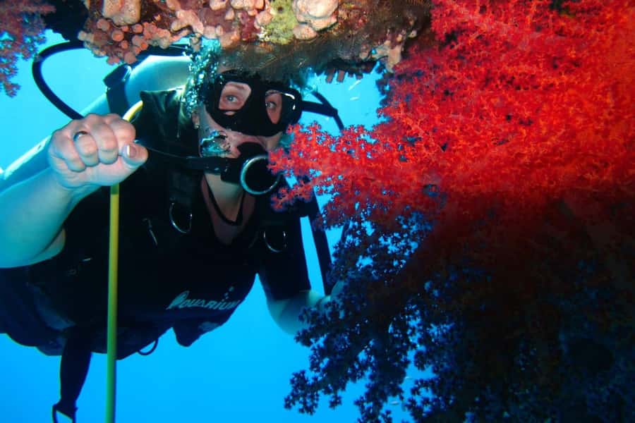 Sharm El Sheikh: Day sail to White island and Ras Mohamed - When this day sail is the right fit for you