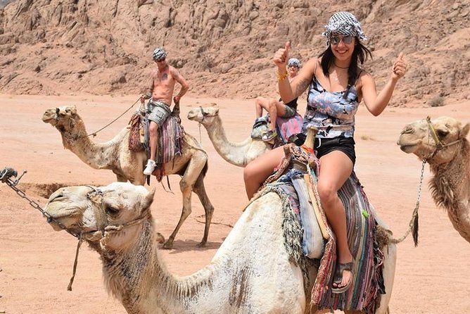 Sharm El Sheikh Desert Adventure (5X1) - Price and Value for Quad Bikes Plus Dinner, Show, and Telescopes
