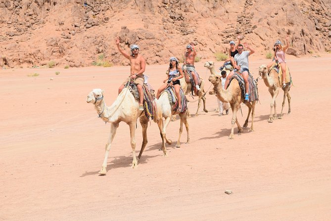 Sharm El Sheikh Desert Adventure (5X1) - From Your Hotel to Sharm Wonders: Pickup, Timing, and First Instructions