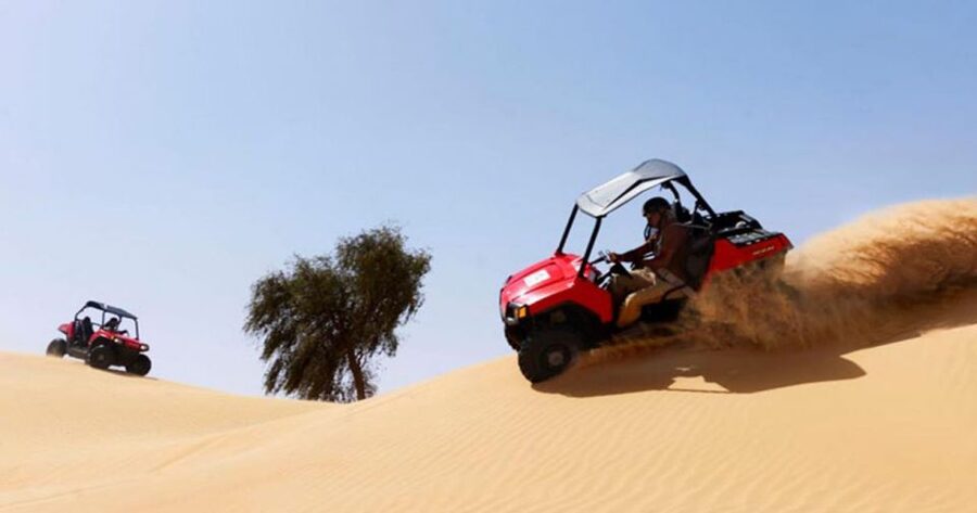 Sharm El-Sheikh: Desert Buggy Safari Adventure - Who this buggy safari suits best