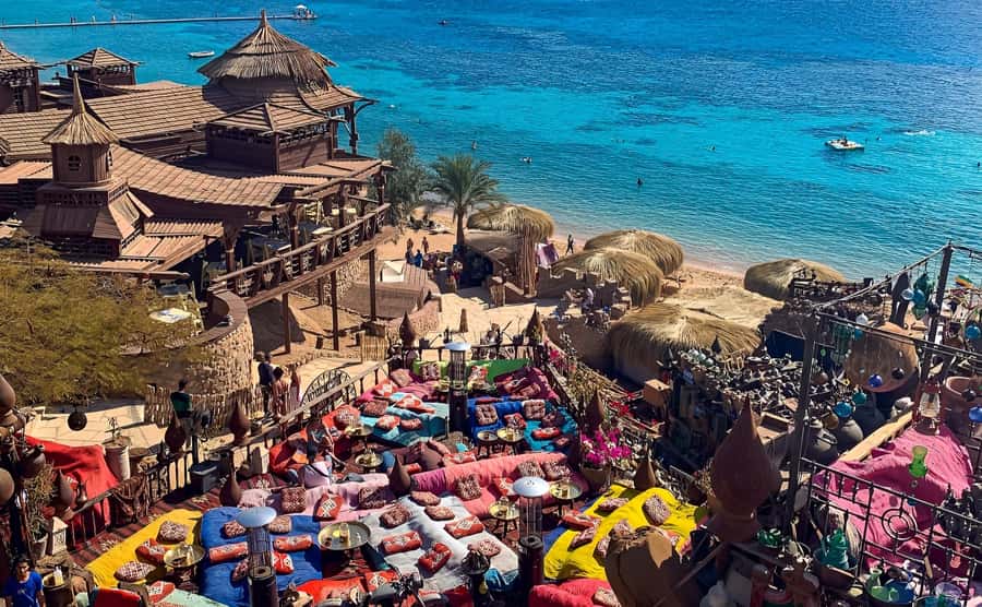 Sharm el Sheikh: Farsha Cafe & Soho Square Night Out Driver - What You Can Actually Do at Farsha Cafe