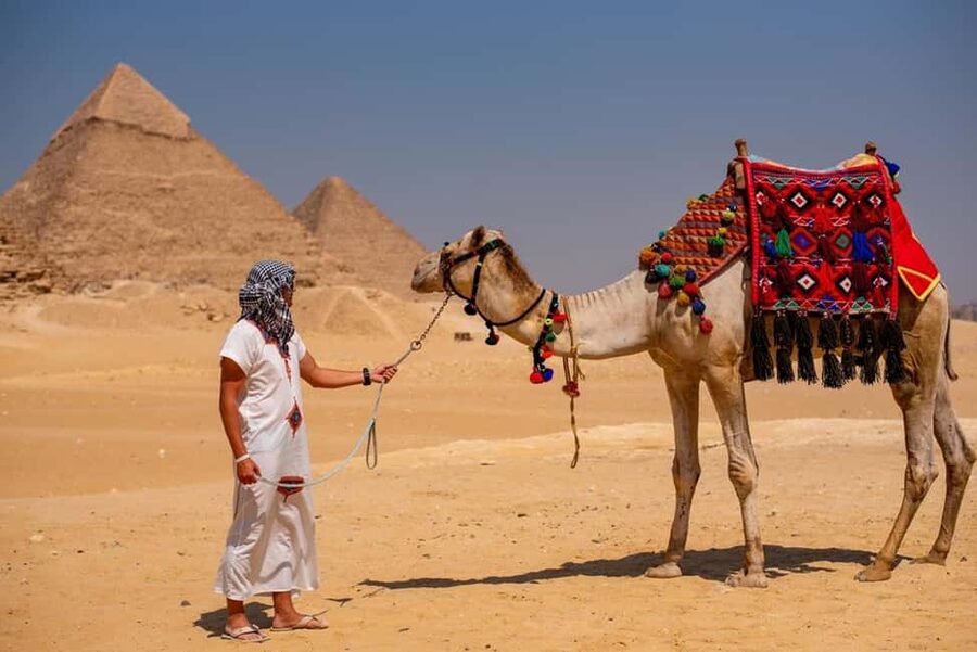 Sharm El-Sheikh: Full-Day Tour of Cairo and Pyramids by Bus - Egyptian Museum on Tahrir Square: Tutankhamun treasures and mummies