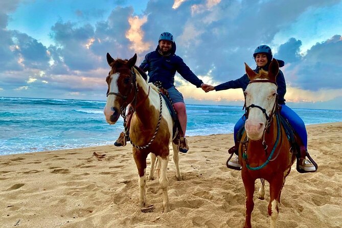 Sharm El Sheikh Horseback Riding with Pickup and Drop-off - Key things to know before you go