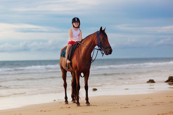 Sharm El Sheikh Horseback Riding with Pickup and Drop-off - Your two ride choices: desert or beach routes