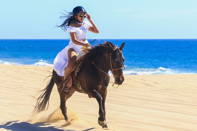 Sharm El Sheikh Horseback Riding with Pickup and Drop-off - Horse names that make it feel more personal