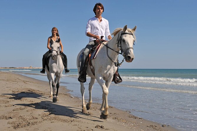 Sharm El Sheikh Horseback Riding with Pickup and Drop-off - Price and real value: what $8.16 covers, and what it doesn’t