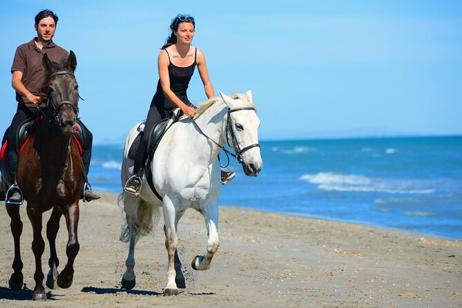 Sharm El Sheikh Horseback Riding with Pickup and Drop-off - Trainer briefing, helmets, and how they help beginners