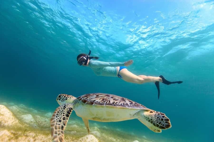 Sharm El Sheikh: Luxury boat Cruise with Snorkeling & Lunch - White Island swim and photos: why tide conditions matter