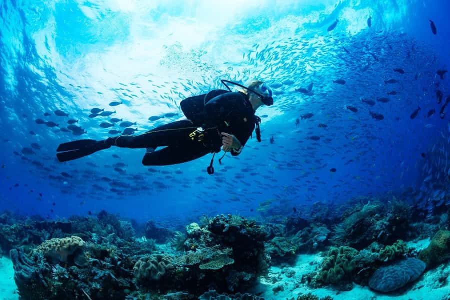 Sharm El Sheikh: Luxury boat Cruise with Snorkeling & Lunch - The second water session and the optional intro scuba choice