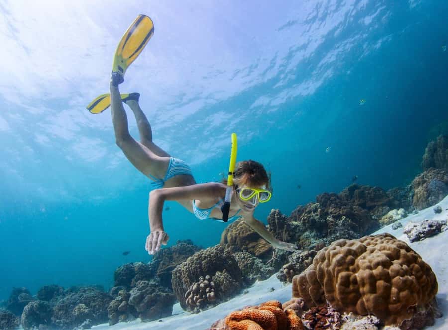 Sharm El Sheikh: Luxury boat Cruise with Snorkeling & Lunch - Best-for fit: who this cruise suits, and who should reconsider