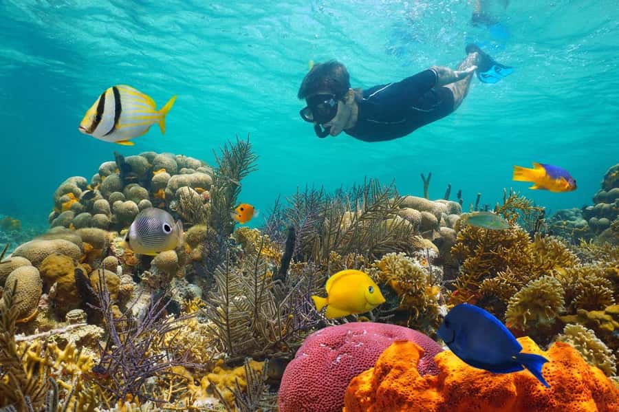 Sharm El Sheikh: Luxury boat Cruise with Snorkeling & Lunch - Getting to Watanya Marina, boarding the yacht, and staying on schedule
