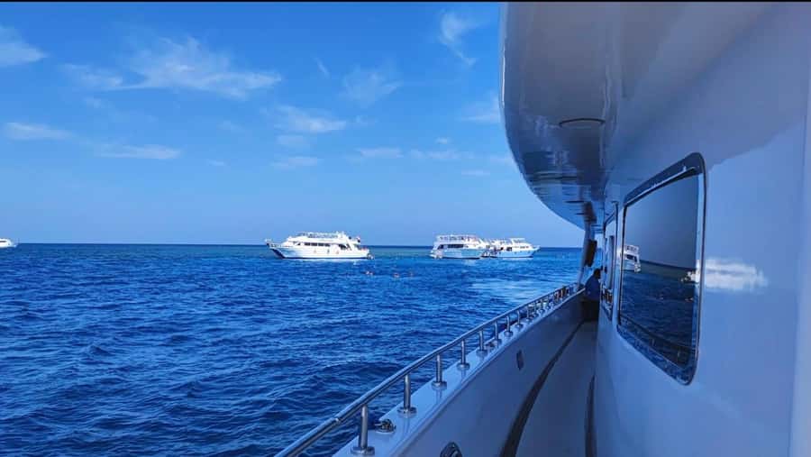 Sharm El-Sheikh: Luxury Ras Mohammed & White Island Cruise - White Island: the easy win after time on the reef