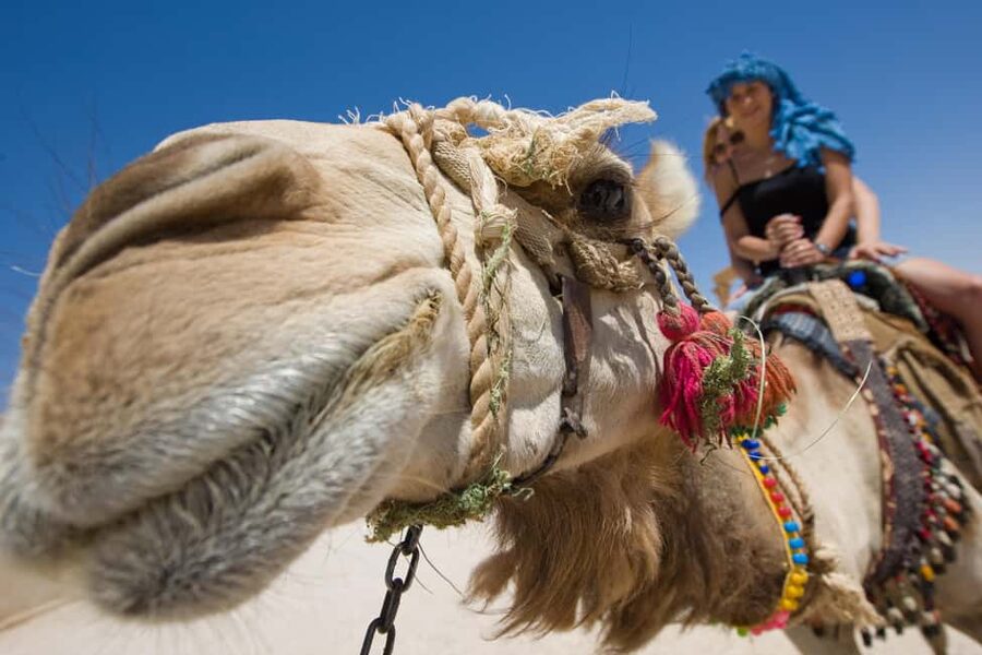 Sharm El-Sheikh: Morning Desert ATV Quad or Buggy Adventure - Key things I’d plan around