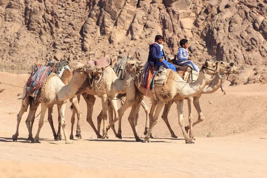 Sharm El-Sheikh: Morning Desert ATV Quad or Buggy Adventure - Camel Ride Through the Desert: Slower, Different, Worth It