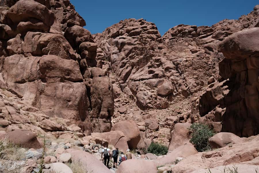 Sharm El Sheikh: Mount Sinai & St. Catherine's Monastery - Price and value: what $51 actually covers