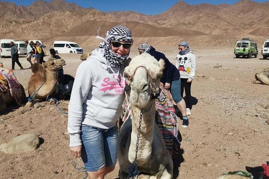 Sharm El-Sheikh: Parasailing, Camel Ride, Dive & Quad Bike - Parasailing Over Sharm El-Sheikh, Single Rider or With Your Partner