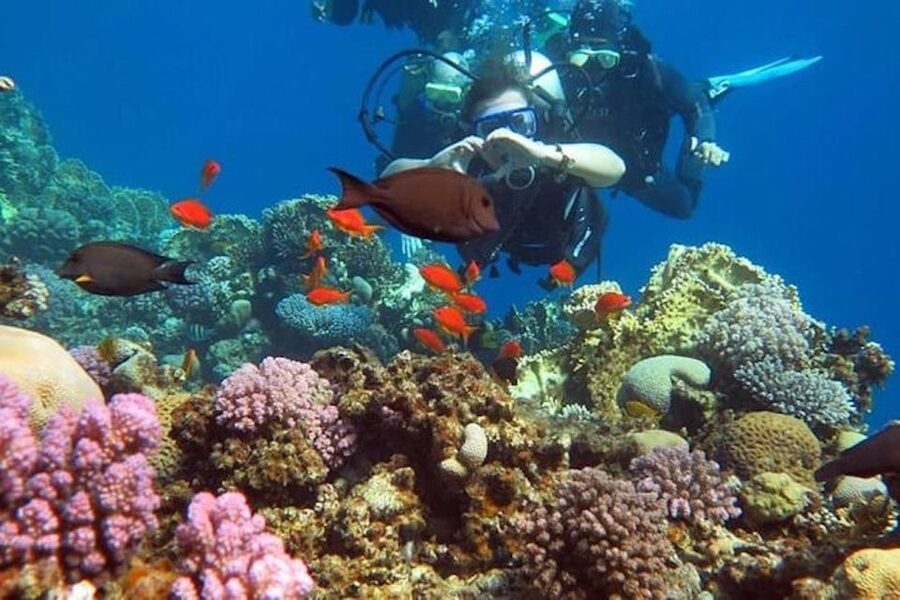 Sharm El-Sheikh: Parasailing, Camel Ride, Dive & Quad Bike - Banana Boat and Tube Ride, Expect Splash and Speed-Boat Pull