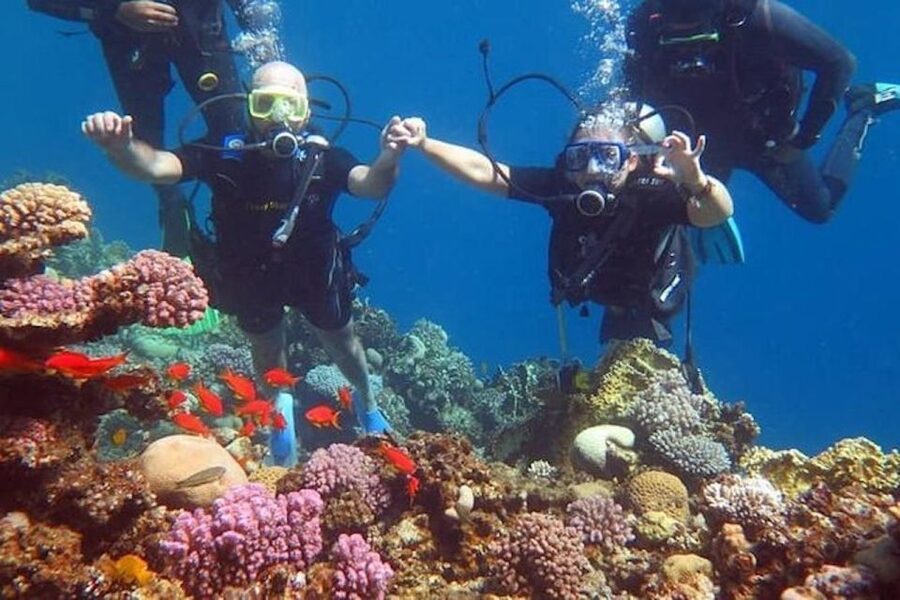 Sharm El-Sheikh: Parasailing, Camel Ride, Dive & Quad Bike - Hotel Pickup, ID Prep, and What Can Slow Things Down