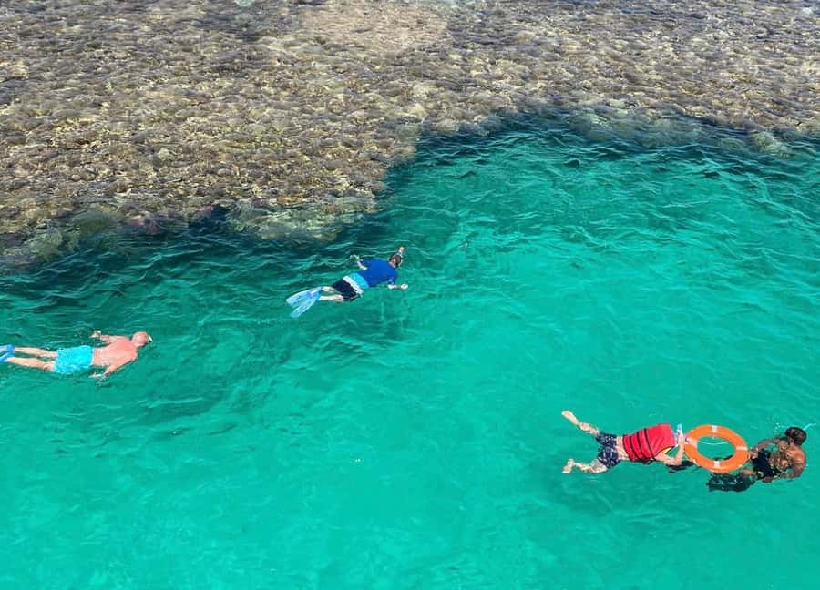 Sharm el-Sheikh: Premium Ras Mohammed & White Island Cruise - Should you book the Premium Ras Mohammed & White Island cruise?