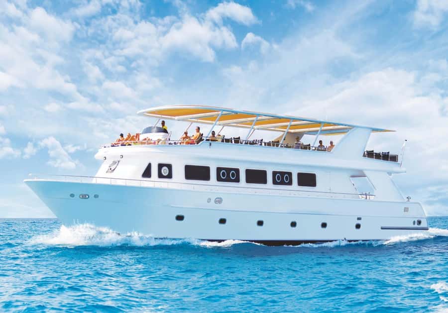 Sharm el-Sheikh: Premium Ras Mohammed & White Island Cruise - From hotel pickup to Watanya Marina, the start that sets your mood