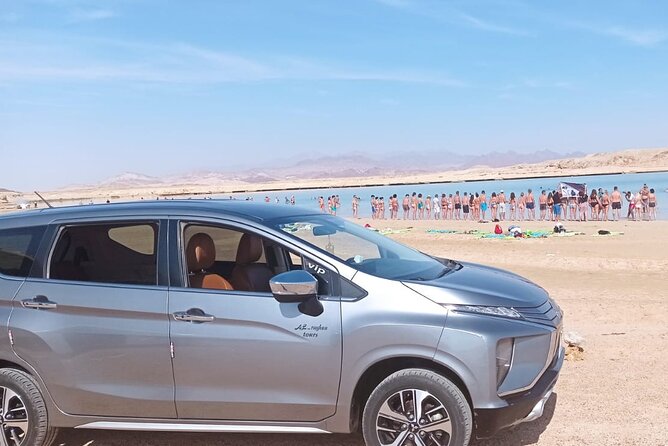 Sharm el Sheikh Private Airport Transfer - Meeting at the airport: how you avoid the usual arrival chaos