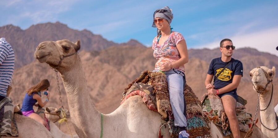 Sharm El Sheikh: Quad bike, Safari, Camel With Dinner & Show - Price and Value at Around $20 Per Person