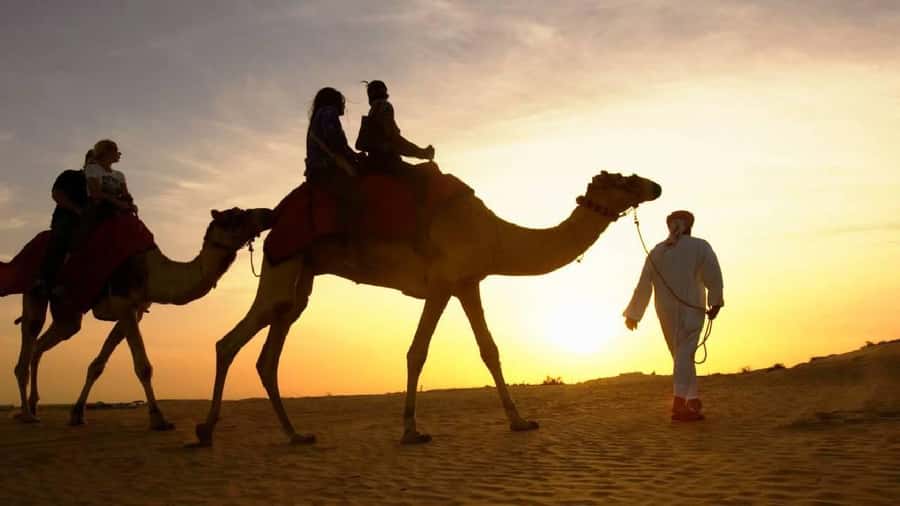 Sharm El Sheikh: Quad Biking, Camel Ride & Bedouin Dinner. - Getting Picked Up by Sun Pyramids Tours Without Stress