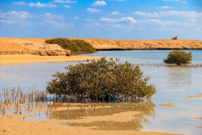 Ras Mohamed Half-Day Tour & Allah’s Gate