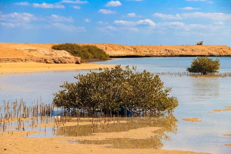 Sharm El-Sheikh: Ras Mohamed Half-Day Tour & Allah's Gate - Hotel pickup to Ras Mohammed: the smooth start from Sharm