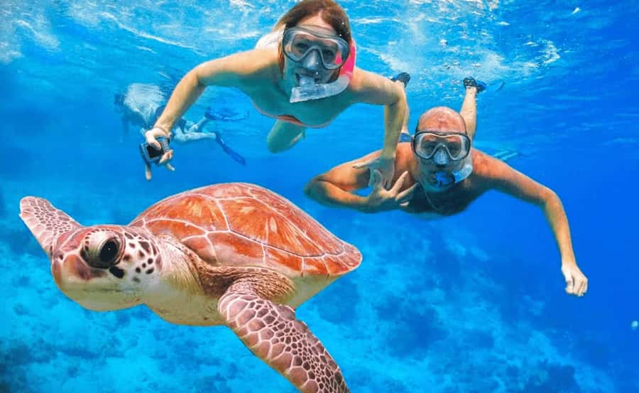 Sharm El Sheikh: Ras Mohamed & White Island Dive & Snorkel - A Red Sea Itinerary That Starts Simple and Ends Big