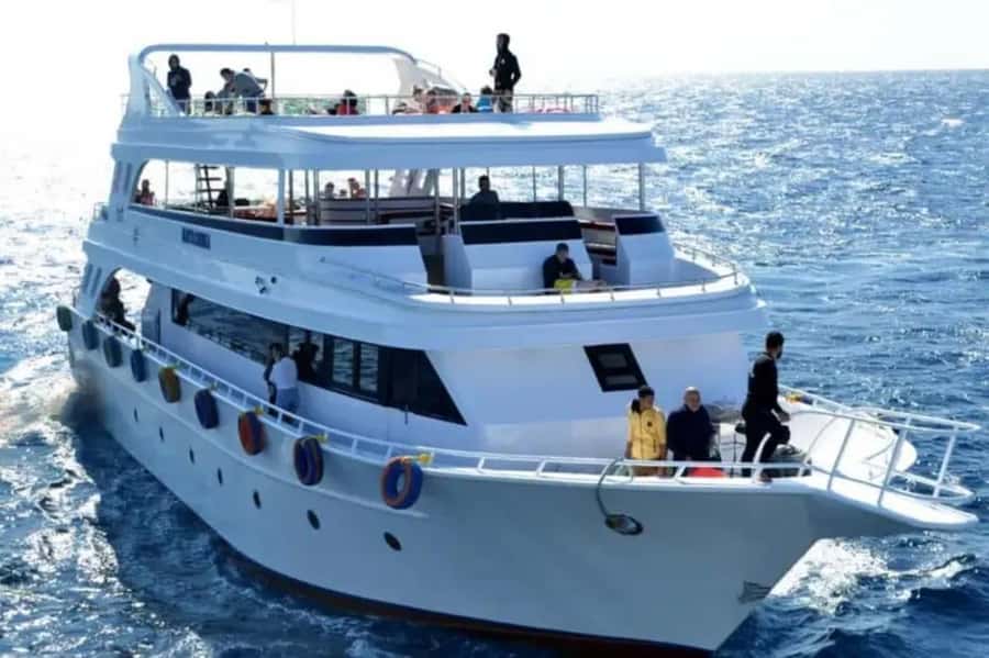 Sharm El Sheikh: Ras Mohamed & White Island Dive & Snorkel - Your Underwater Choice: Intro Scuba or Guided Snorkeling