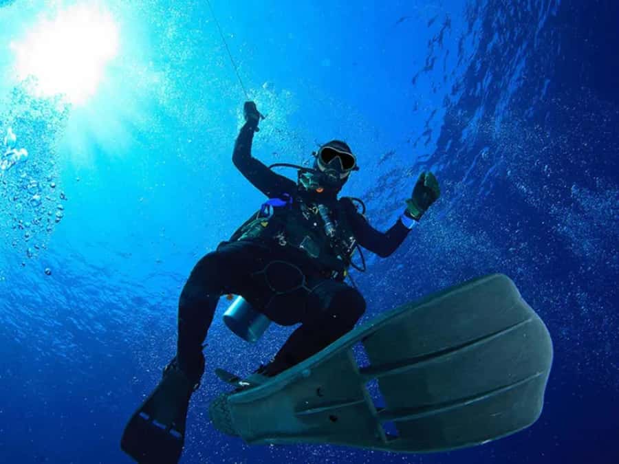 Sharm El Sheikh: Ras Mohamed & White Island Dive & Snorkel - Ras Mohamed National Park Snorkel Stops: What You’ll Actually Notice