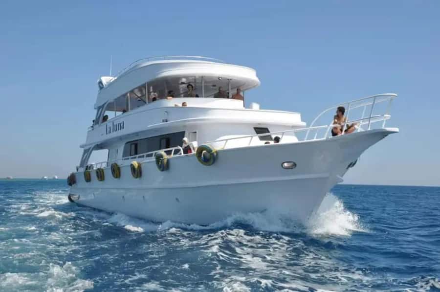 Sharm El Sheikh: Ras Mohamed & White Island Dive & Snorkel - Language Support: Choose Comfort When You Need It