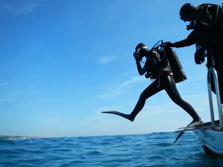 Sharm El Sheikh: Ras Mohamed & White Island Dive & Snorkel - Yacht Comfort and Pickup That Keeps the Day Moving