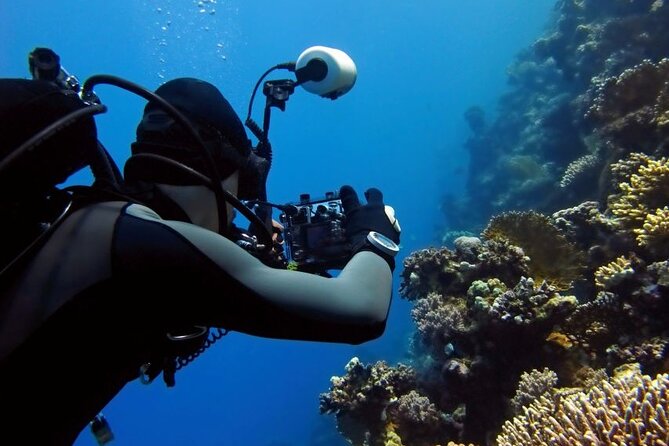 Sharm El Sheikh: Ras Mohamed, White Island, Snorkel and Diving - Ras Mohamed and White Island: the Red Sea combo that makes the day
